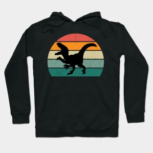 Retro Vintage Dinosaur T-Rex Hoodie